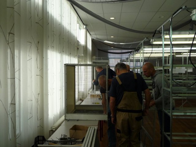 p1040686